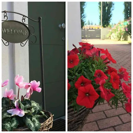Casa Viola - Free Parking & Relax Apartment *
