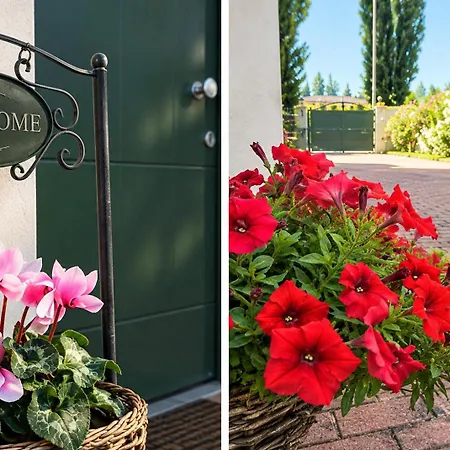Appartamento Casa Viola - Free Parking&relax *